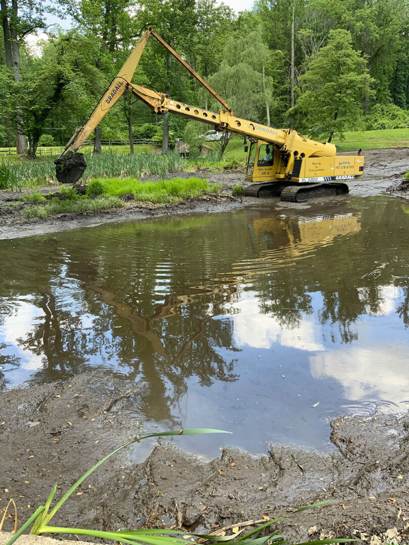 Greenspring Pond Project 1